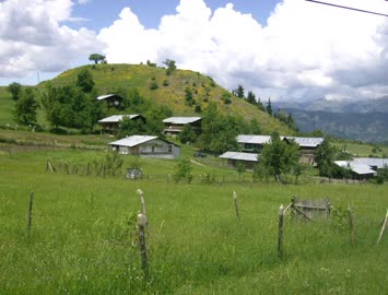 Başağagil