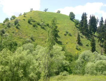 GORA