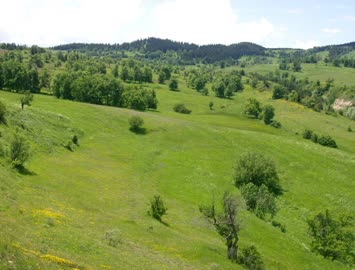 Atalar-Siganlar