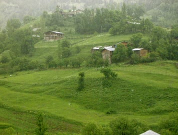 Atalar yagmur altinda