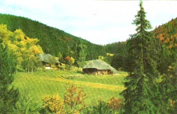 Yaşantı Burada İşte