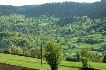 bahar 2007