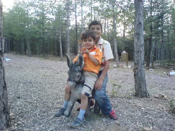 Burak ve Tarık Tokdemir yeğenimiz 