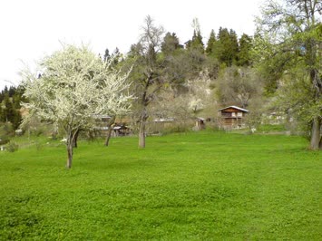 turangil özledim seni