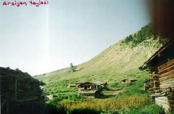 Arsiyan Yaylası