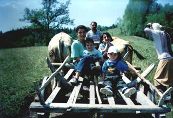 Saylıca