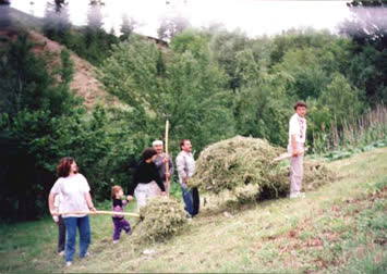 Saylıca