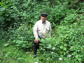 babam ismail temur yeşiller içinde