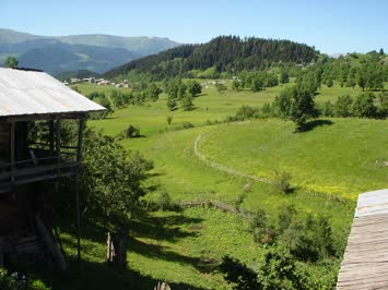 dabasurul