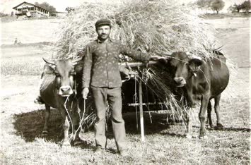  Süleyman Büyük Ot Taşırken 