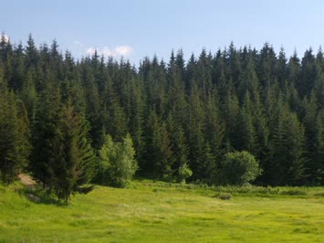 Şavşat