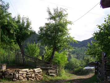 Hacigil Mahallesinin Yolu