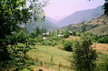 cami mahallesi