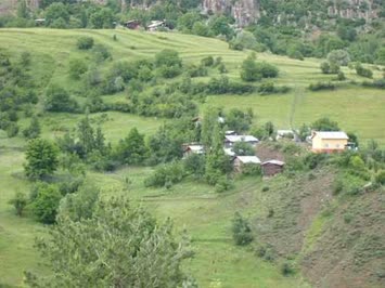 Boskanattan bakis