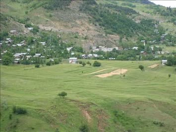 Boskanattan bakis