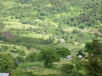 Boskanattan bakis