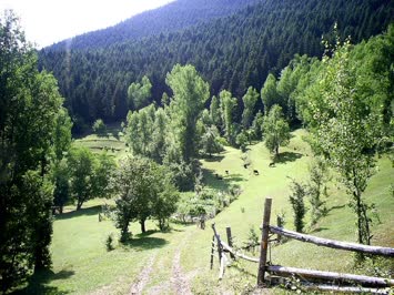 Hacigil Nakohara 3 agustos 2007