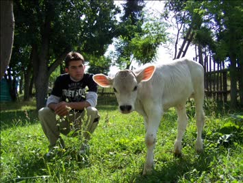 Ben ve Puco