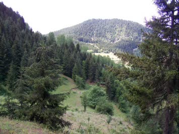 NaSop 2007