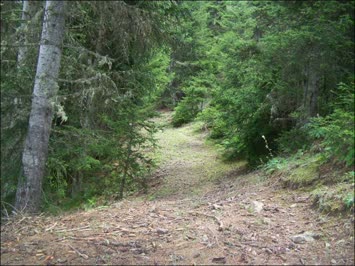Nakoharadan meSaya giden yol