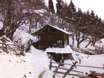 Vanta