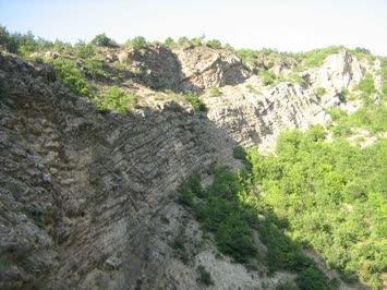 OCAMURTA