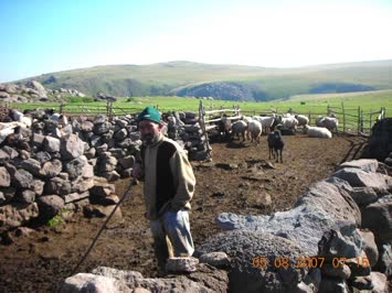 Yayla