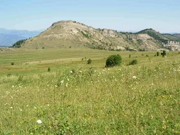 Seslavur