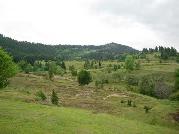 Seslavur