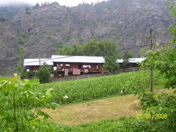 Ilıca (Cinal)