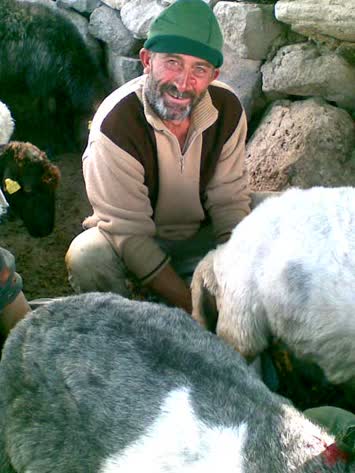 Kirik Turgut Koyun Sagarken