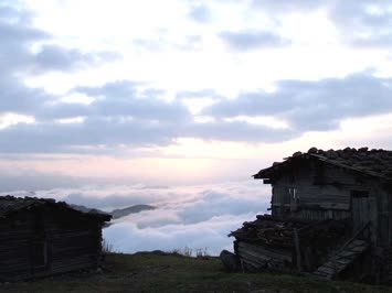 Aytaç Çelik