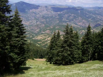 Yol ayrimi