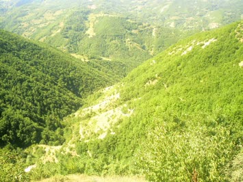 Savaş Köyü