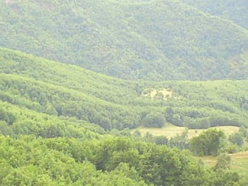 Savaş Köyü - 2007