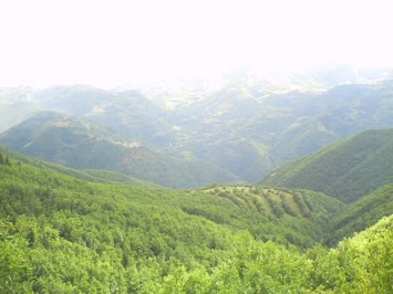 Savaş Köyü - 2007