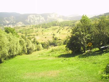 Savaş Köyü - 2007