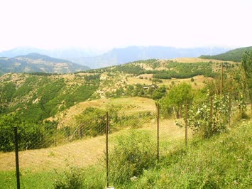 Savaş Köyü - 2007