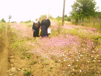 Savaş Köyü - 2007