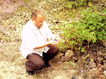 Savaş Köyü - 2007