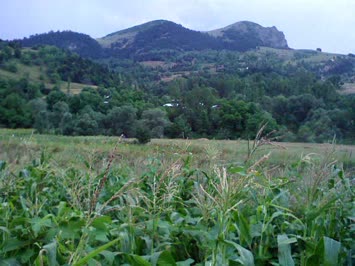Satapliya