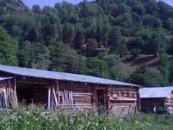 Satapliya