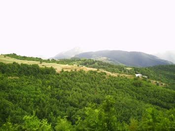 Savaş Köyü - 2007