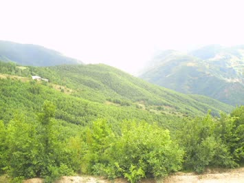 Savaş Köyü - 2007