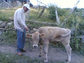 Selamlaşma
