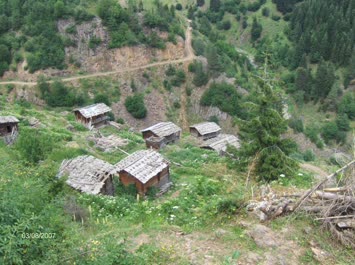Hohlevi