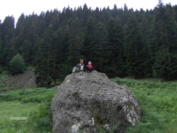 Hohlevi