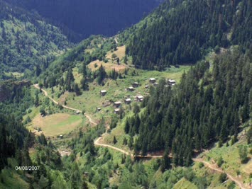 Hohlevi