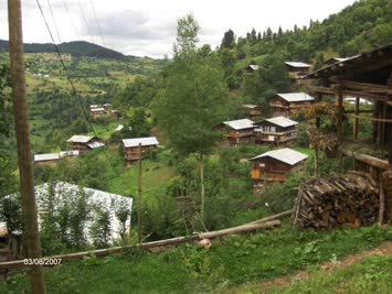 Hohlevi