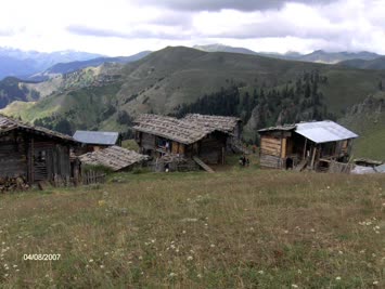 Hohlevi